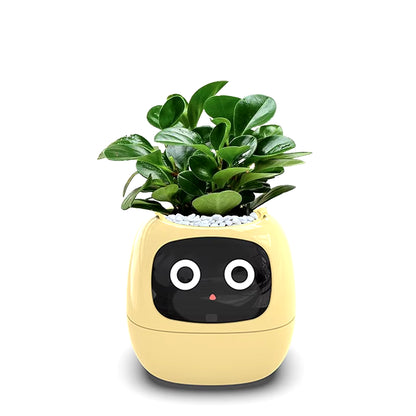 Ivy Smart Planter Endless Fun over 49 Rich Expressions 7 Smart Sensors and AI Chips Make Raising Plants Easy and Fun