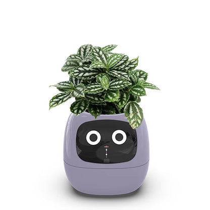 Ivy Smart Planter Endless Fun over 49 Rich Expressions 7 Smart Sensors and AI Chips Make Raising Plants Easy and Fun