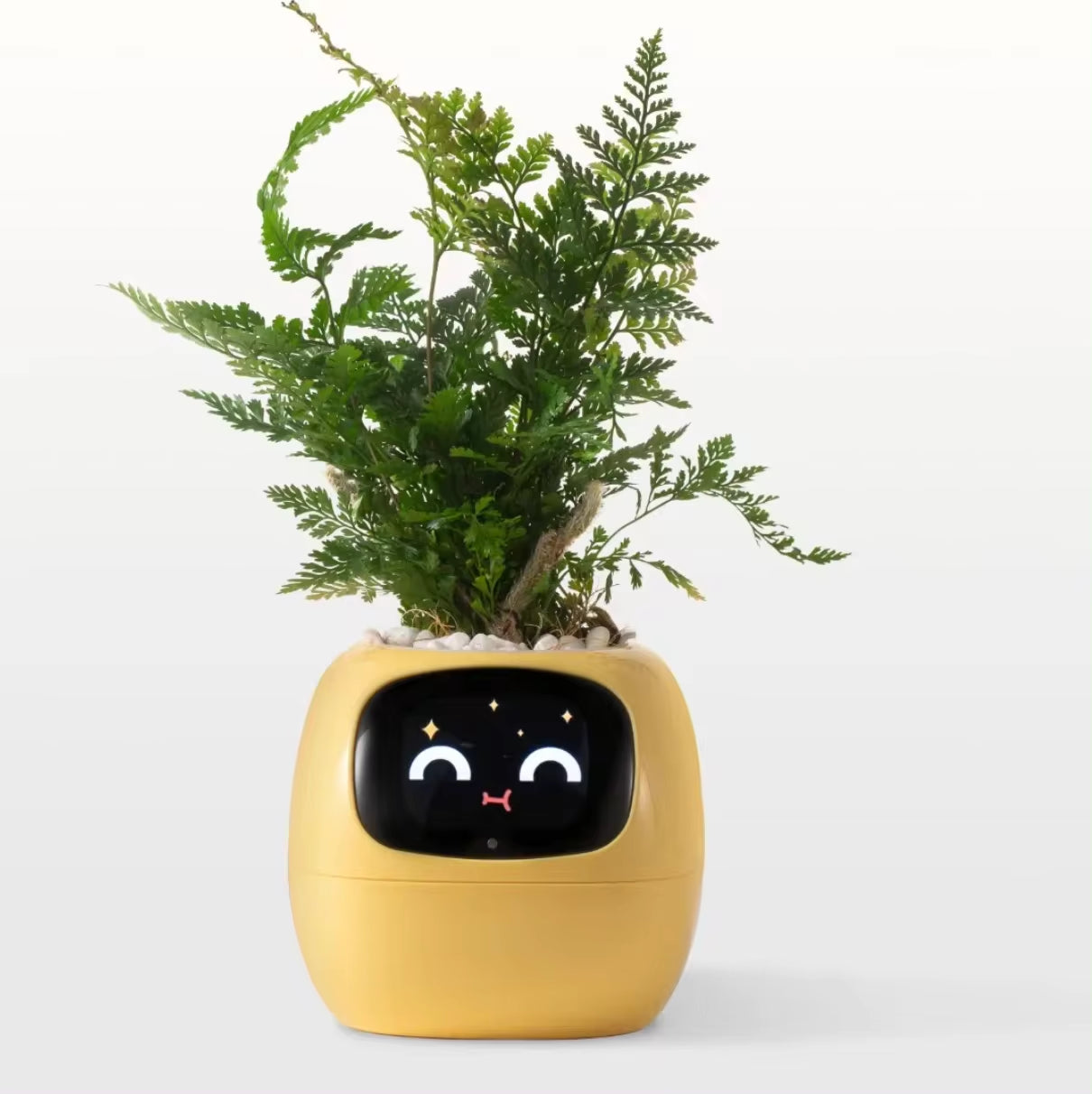 Ivy Smart Planter Endless Fun over 49 Rich Expressions 7 Smart Sensors and AI Chips Make Raising Plants Easy and Fun