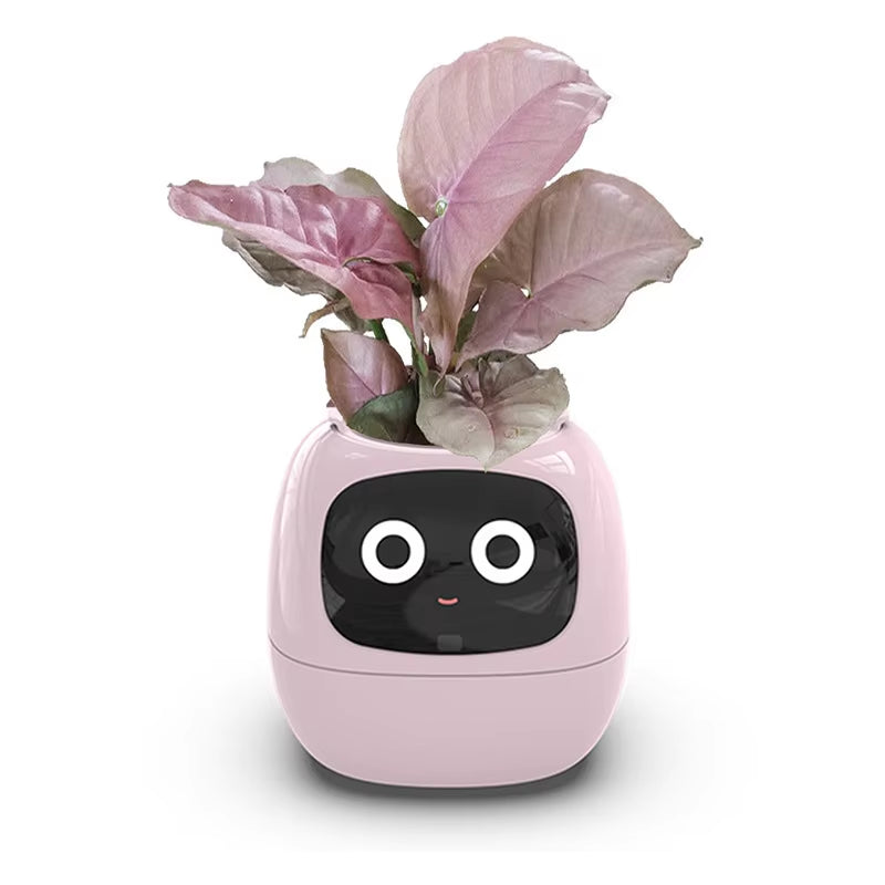 Ivy Smart Planter Endless Fun over 49 Rich Expressions 7 Smart Sensors and AI Chips Make Raising Plants Easy and Fun